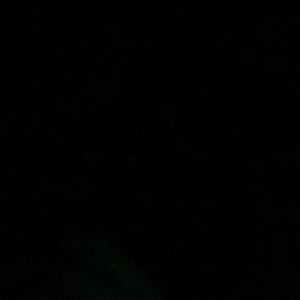 Meet your Posher, Manuel